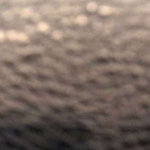 Meet your Posher, Monique